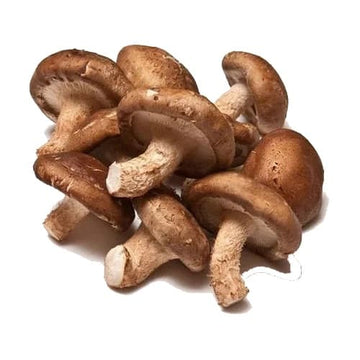 Shiitake