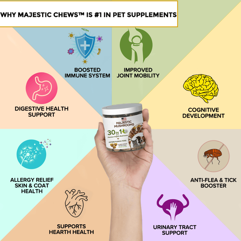 Original Majestic Mushrooms product illustration
