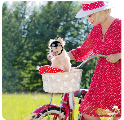 WagHelmet™ - Classic Motorcycle Head Protection (For Dogs and Cats)