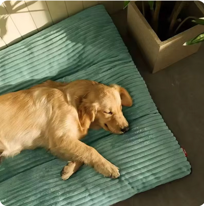 WagBed™ - Comfy Warm Winter Dog Bed (WaterProof)