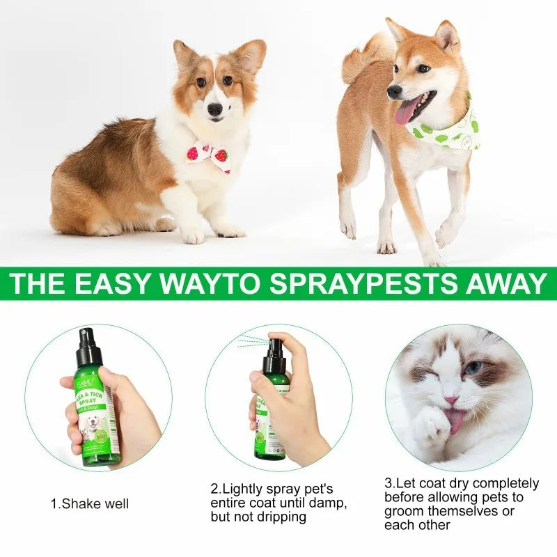 WagAway pictured directions to shake, lightly spray, and allow the coat to dry