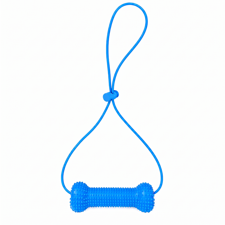 Blue grooved dog toothbrushing aid with hand-held cord; reference product image